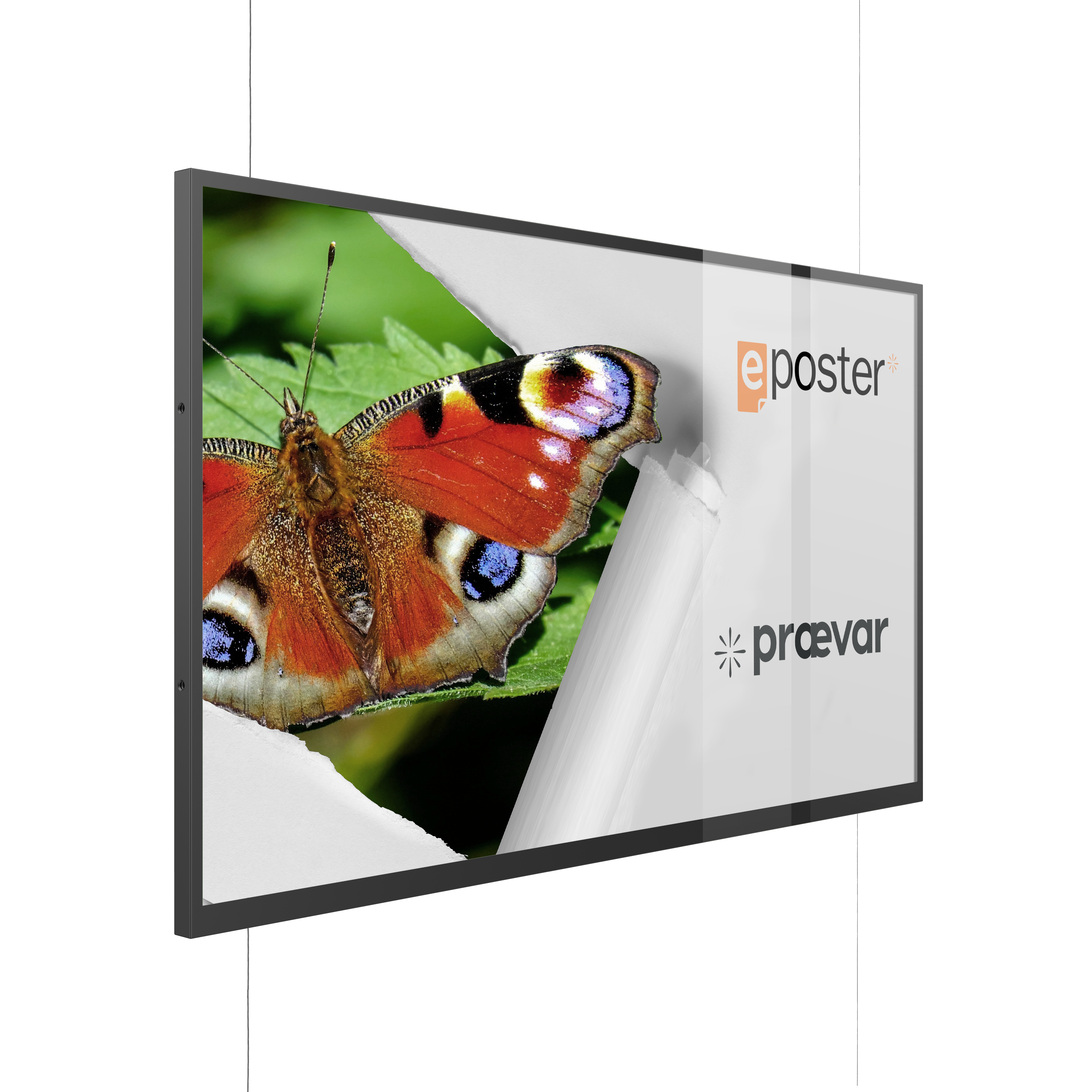 Grid Slide Light Reflected